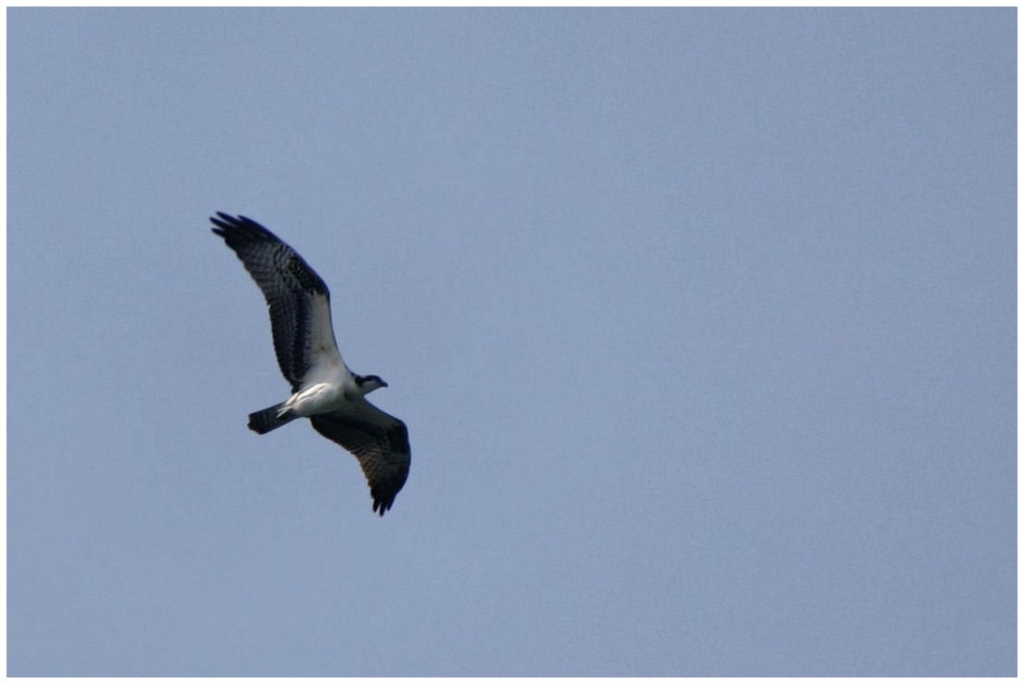 01 - Grand teton NP (36).jpg